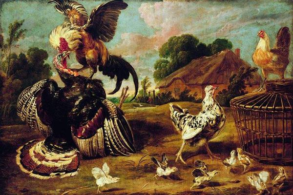 Paul de Vos The fight between a turkey and a rooster Spain oil painting art